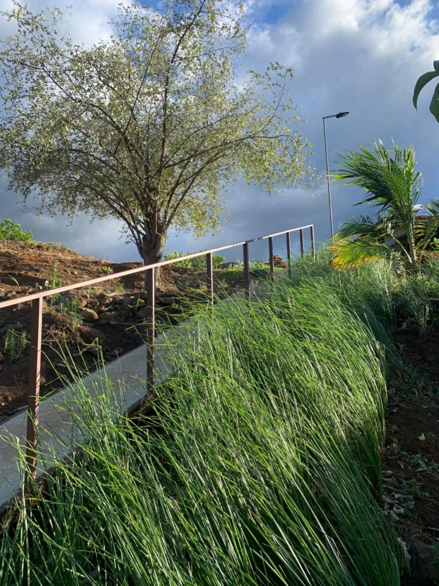 Conectar Con La Naturaleza Esparza Zewnętrze zdjęcie